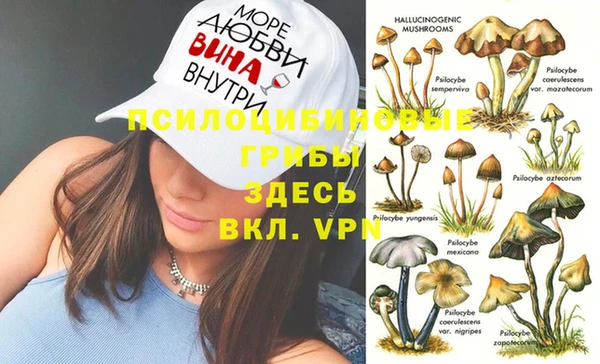 гашик Протвино