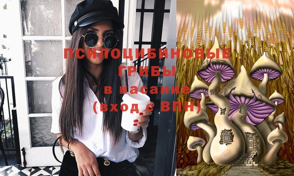 не бодяженный Алексин